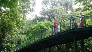 Bandung Punya Forest Walk Terpanjang di ASEAN