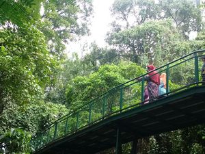 Bandung Punya Forest Walk Terpanjang di ASEAN