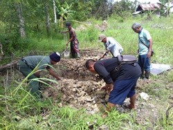 Orangutan Mati Tanpa Kepala di Kalteng, Polisi Periksa 5 Saksi