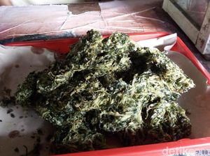 Ini Bakwan Jembak Khas Senjoyo yang Kenyal Gurih Renyah