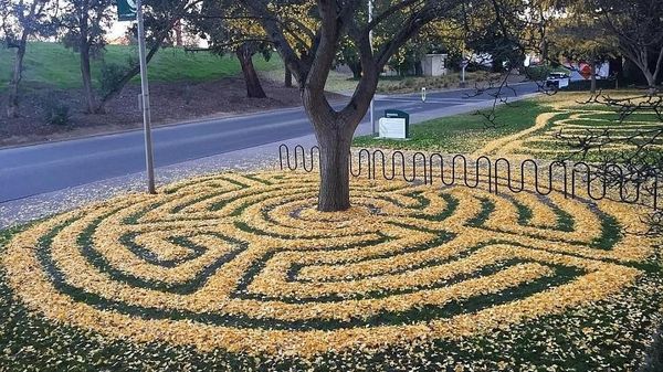 Foto: Kreatif, Daun Musim Gugur Bisa Dibuat Keren Begini