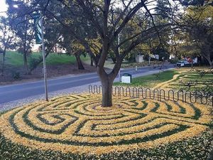 Foto: Kreatif, Daun Musim Gugur Bisa Dibuat Keren Begini