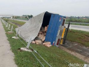 Truk Muat Semen Terguling di Tol Mojokerto-Kertosono, Sopir Luka