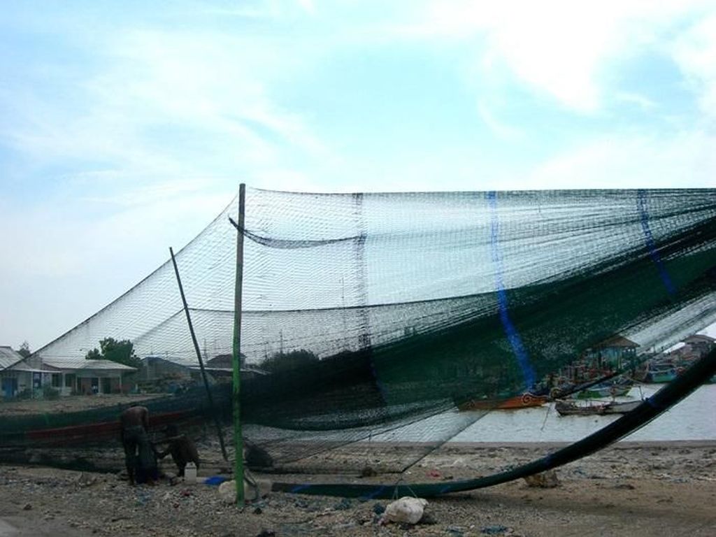 Aturan Susi Diperlonggar, Kapal Cantrang Boleh Melaut Aturan Susi Diperlonggar, Kapal Cantrang Boleh Melaut