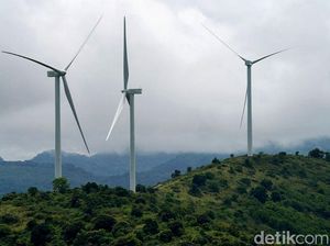 Capai 90%, Begini Penampakan Kebun Angin Raksasa di RI