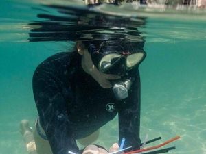 Proyek Pembersihan Limbah Sedotan Plastik di Sydney