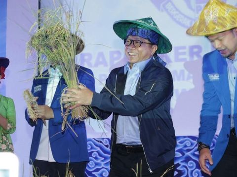 Zulkifli Hasan Kritik Kebijakan Pemerintah Impor Beras