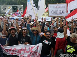 Cerita Nelayan Sembunyi-sembunyi Tangkap Ikan Pakai Cantrang