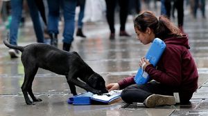 Foto: Keakraban Gadis Pengamen Suriah dengan Anjing Liar di Turki