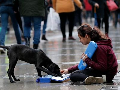 Foto: Keakraban Gadis Pengamen Suriah dengan Anjing Liar di Turki