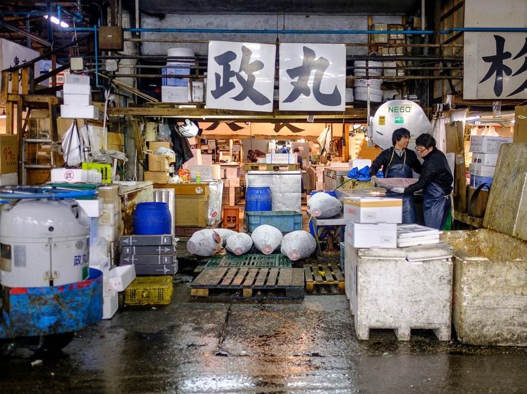 Menariknya Suasana di Pasar Ikan Tsukiji dan Aksi Arsy Hermansyah Saat Makan