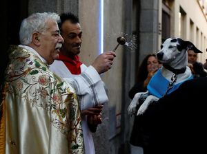 Foto: Tradisi Unik Pembaptisan Hewan di Gereja Spanyol Foto: Tradisi Unik Pembaptisan Hewan di Gereja Spanyol