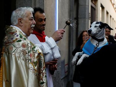 Foto: Tradisi Unik Pembaptisan Hewan di Gereja Spanyol