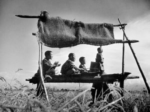 Puluhan Foto Keindahan Alam Kota Tohoku Dipamerkan Perdana di Jakarta