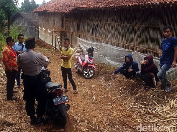 Warga Sukabumi Tolak Peternakan Ayam