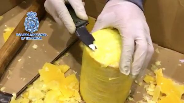 Foto: Modus Sembunyikan Kokain Dalam Nanas di Portugal