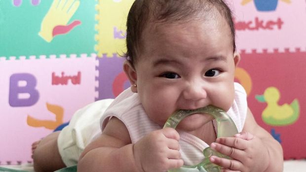 Tahap Perkembangan Penglihatan Bayi  Usia  1 12 Bulan 