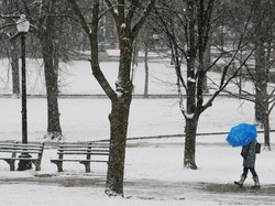 Badai Salju Bekukan AS Bagian Selatan, 4 Orang Tewas