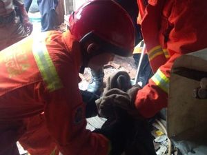 Ular Sanca 3 Meter Lepas di Halaman, Warga Kalideres Ketakutan