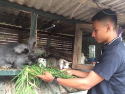 Kisah Aditya, Mahasiswa yang Biayai Kuliahnya dari Ternak Kelinci