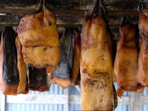 Makanan Mengerikan Bangsa Viking di Islandia