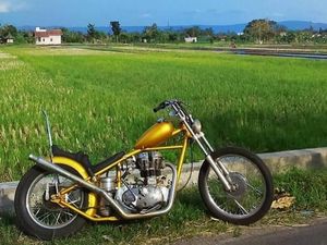 Akankah Jokowi Pakai Motor Chopper Emasnya dalam Kunjungan Kerja? Akankah Jokowi Pakai Motor Chopper Emasnya dalam Kunjungan Kerja?
