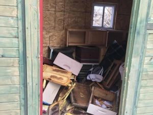 Lakukan Vandalisme hingga Bunuh Jutaan Lebah, 2 Bocah Ditangkap