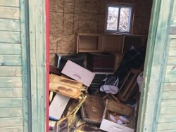 Lakukan Vandalisme hingga Bunuh Jutaan Lebah, 2 Bocah Ditangkap