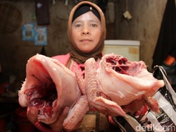 Harga Daging Ayam Naik, Ini Kata Pedagang di Probolinggo