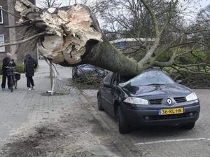 3 Orang Tewas Akibat Diterjang Badai Kencang di Belanda