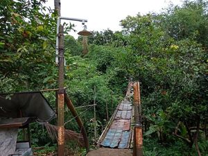 Perbaikan Jembatan Gantung di Jagakarsa Diusulkan Masuk Program BKSP