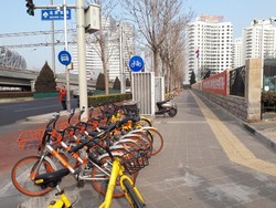 Bisnis Sewa Sepeda Online Ini Laku Rp 37 Triliun