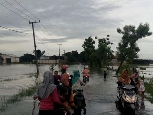 Banjir Akibat Hujan Seharian Rendam Jalan dan Sawah di Lamongan