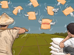 Data Impor Beras Selama Jokowi Jadi Presiden yang Diserang Prabowo