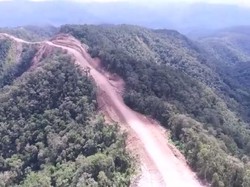 Melchor Duet Bareng Medco Kelola 180 Ribu Ha Hutan di Papua