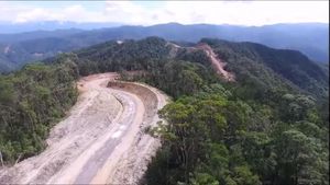 Wow, Jalan di Papua Dibangun Belah Hutan Nanjak Bukit