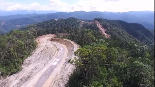 Wow, Jalan di Papua Dibangun Belah Hutan Nanjak Bukit