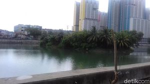 Ini Danau Sunter Lokasi Ular Sanca Mistis Ditemukan dan Dilepas