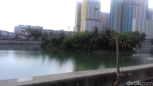 Ini Danau Sunter Lokasi Ular Sanca Mistis Ditemukan dan Dilepas