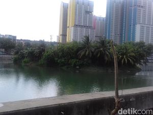 Ini Danau Sunter Lokasi Ular Sanca Mistis Ditemukan dan Dilepas Ini Danau Sunter Lokasi Ular Sanca Mistis Ditemukan dan Dilepas