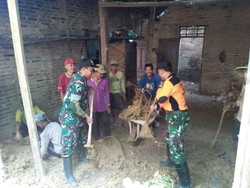 Tebing 12 Meter Ambrol Timpa Rumah Warga di Trenggalek