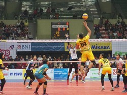 Menang Lagi, Bandung Bank BJB Pakuan Tekuk Jakarta Elektrik PLN 3-0