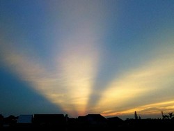 Goodmorning Sunshine