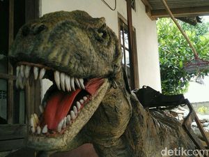 Rawrrr! Begini Tampang T-Rex Asal Jogja Rawrrr! Begini Tampang T-Rex Asal Jogja