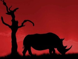 Jaringan Mafia Global di Balik Perdagangan Gelap Cula Badak