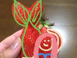 Kreatif! Netizen Ini Ubah Strawberry Cacat Jadi Unicorn, Putri Duyung hingga Gajah!