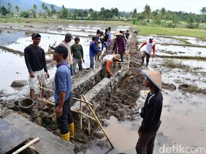 Heboh Desa Hantu, Dana Desa Bisa Digunakan Buat Apa Saja Sih? Heboh Desa Hantu, Dana Desa Bisa Digunakan Buat Apa Saja Sih?