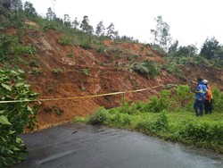 Longsor Trengglek Rusak Empat Hektare Hutan