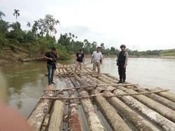 Puluhan Batang Kayu Ilegal Diamankan Tim Gabungan Polda Aceh