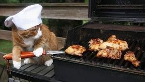 Gemas! 10 Kucing Ini Berpose dengan Makanan Layaknya Chef